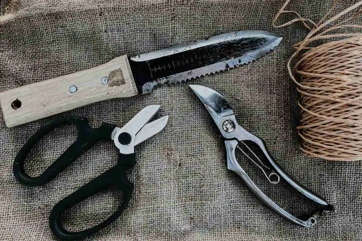 The Tools You Need to Create a Cut Flower Garden 4 Snips, secataurs and a kori-kori knife - The Tools You Need to Create a Beautiful Cutting Garden