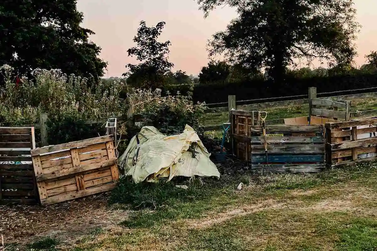 The Top 5 Mistakes in My First Year as a Cut Flower Grower 2 compost heap in field for a cutting patch