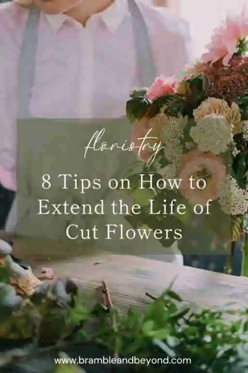 8 Tips on How to Extend the Life of Cut Flowers Bramble and Beyond