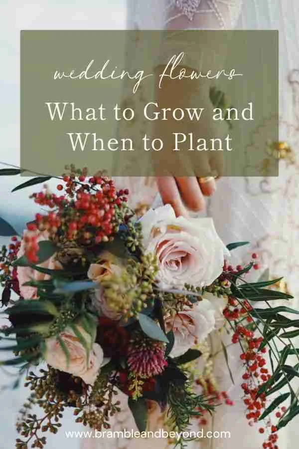 DIY Wedding Florals What to Grow and When to Plant Bramble and Beyond