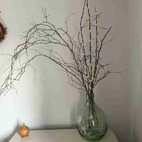 Embracing Winter Beauty: The Best Flowers that Flower in Winter 2 winter branches in round glass bottle