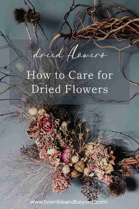 The Secrets to Keeping Dried Flowers at Their Best for Months 9 Learn the secrets to keeping dried flowers fresh and beautiful for months. Discover tips for preserving dried flowers, how to stop dried flowers fading, and the best ways to maintain dried flower arrangements. Practical advice for nature-loving, boho-inspired homes!