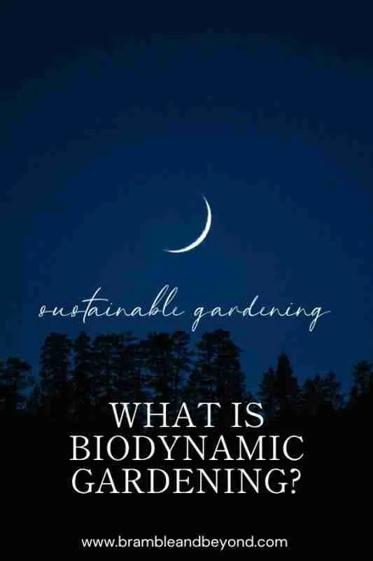 What Is Biodynamic Gardening? A Beginner’s Guide to Holistic Growing 5 What Is Biodynamic Gardening_ A Beginner’s Guide to Holistic Growing