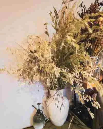 5 Easy-to-Grow Flowers for Drying That Every Gardener Should Grow 6 dried grasses in a vase