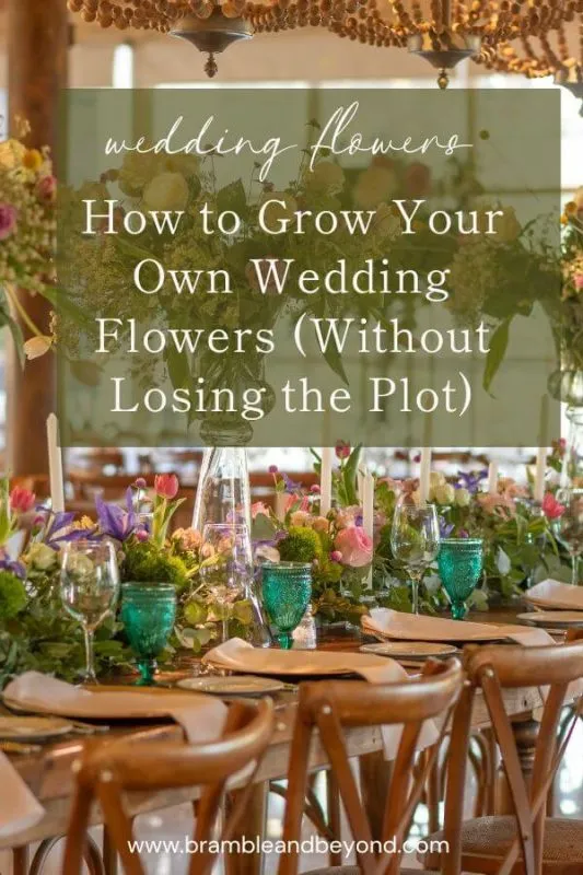 How to Grow Your Own Wedding Flowers (Without Losing the Plot) 4 How to Grow Your Own Wedding Flowers (Without Losing the Plot)