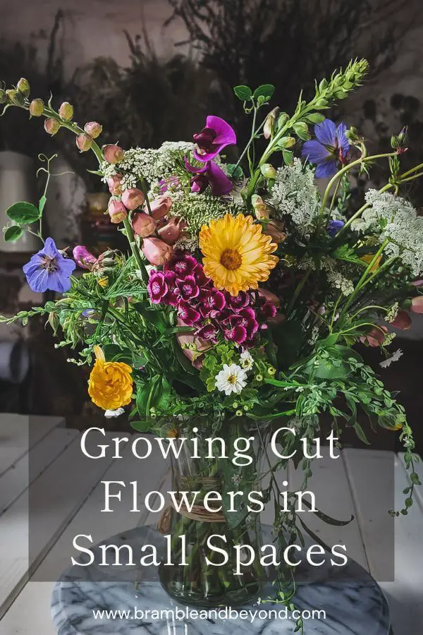 How to Grow Cut Flowers in Small Spaces (Even Without a Garden or Spare Time)