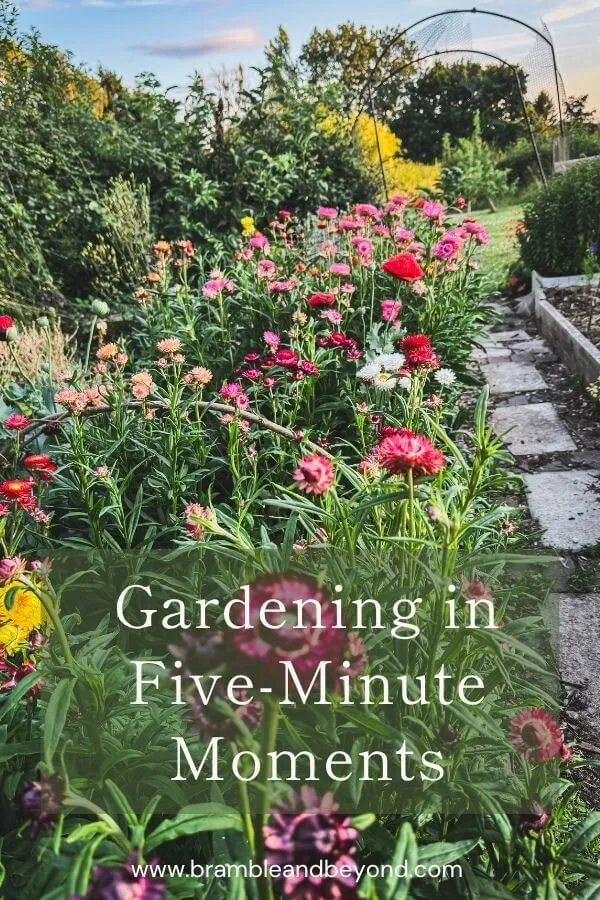 Gardening in Five-Minute Moments: How to Garden When You’re Short on Time