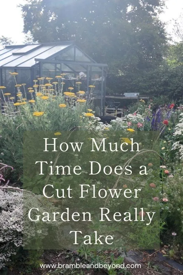 How Much Time Does a Cut Flower Garden Really Take