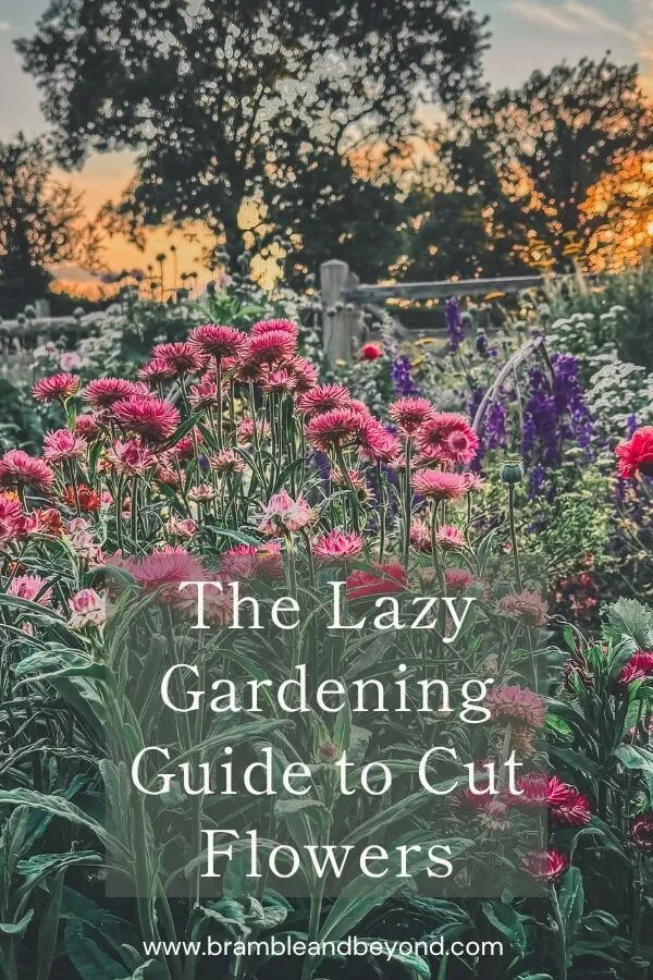 Low-Maintenance, High-Beauty_ The Lazy Gardening Guide to Cut Flowers