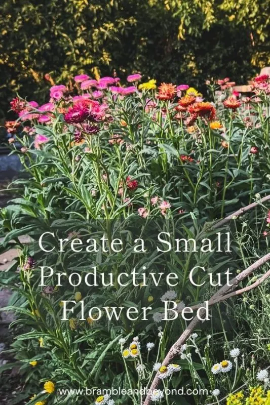 Create a Productive Cut Flower Bed in Limited Space — Here’s How 5 How Much Time Does a Cut Flower bed Really Take
